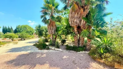 Rustic house in Matola-La Foia-Las Bayas-La Marina photo 14