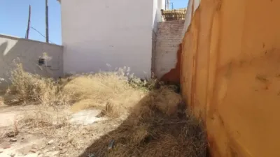 Miniatura 10