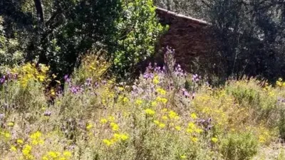 Rustic property in Los Marines photo 48