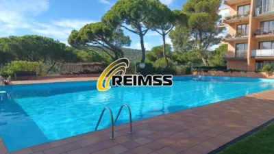 Apartment in Els Pins photo 2