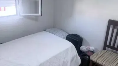 Apartment in San Pablo photo 11