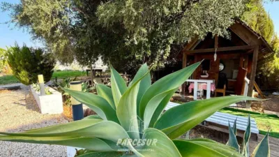 Casa rústica en Almodóvar del Río photo 49