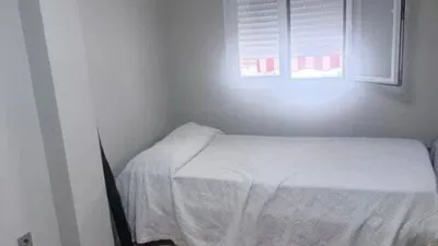 Apartment in San Pablo photo 10