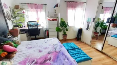 Apartment in Nazaret photo 22