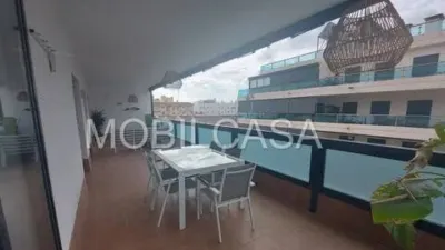 Apartment on Asnell Street photo 3