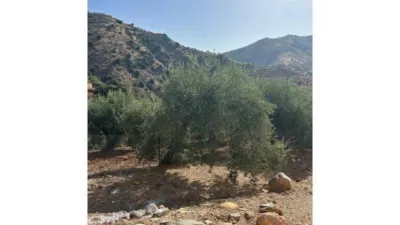 House in Álora photo 5