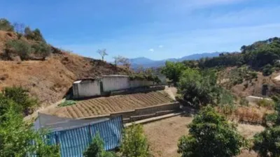Rustic house in Yunquera photo 20