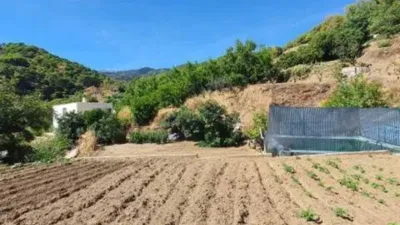 Rustic house in Yunquera photo 24