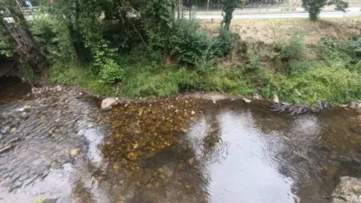 Shop for sale in one of the most prominent areas of the picturesque village of Entrago, Teverga. Price: €95,000 Surface area: 99 m² The property is part of a two-storey building, bordered by the Teverga River and opposite a well-known hostel that brings life to the area. It has an entrance facing the street and another on the side of the building. Fifteen minutes on foot from here is the village of San Martín, which offers more services at our disposal. There is the possibility of converting the shop into a residence, making it a versatile asset with various possibilities. Close to the Senda del Oso and surrounded by a magnificent rural mountain setting, the location offers the tranquility and beauty for which Asturias is iconic. For more information or to arrange a viewing, please do not hesitate to contact us via chat or the phone number provided. photo 4