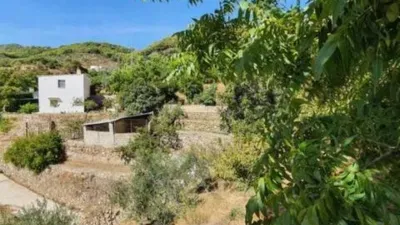 Rustic house in Yunquera photo 26