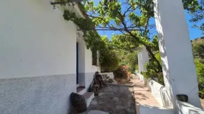Rustic house in Guaro photo 3