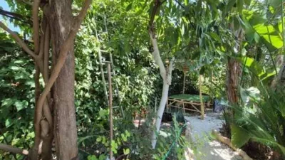 Rustic house in Guaro photo 28