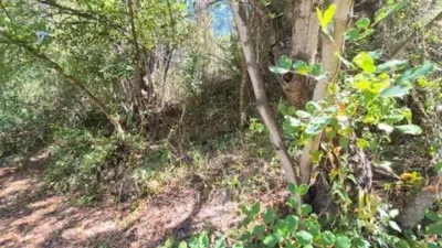 Rustic house in Guaro photo 14