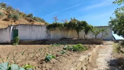 Rustic house in Yunquera photo 19