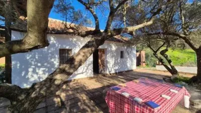Rustic house in Guaro photo 4