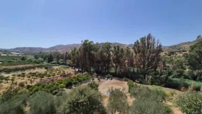 Rustic house in Guaro photo 3