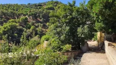 Rustic house in Yunquera photo 23