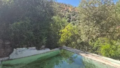 Rustic house in Guaro photo 10