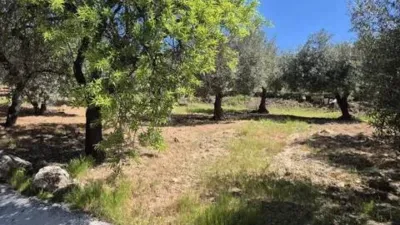 Rustic property in Monda photo 22