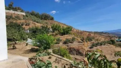 Rustic house in Yunquera photo 16