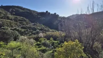 Rustic house in Guaro photo 3