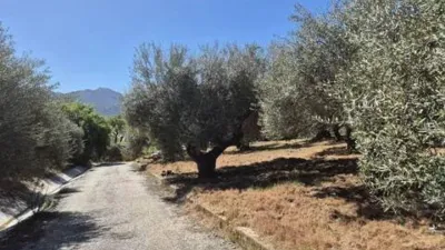 Rustic property in Monda photo 2