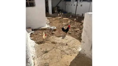 House in Álora photo 13