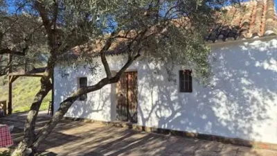 Rustic house in Guaro photo 6