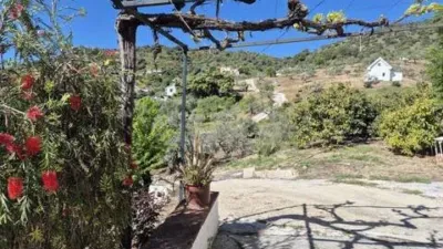 Rustic property in Monda photo 21