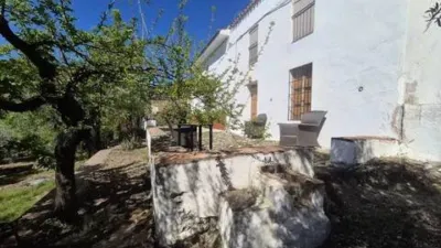 Rustic property in Monda photo 3