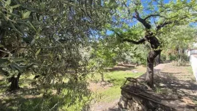 Rustic property in Monda photo 23