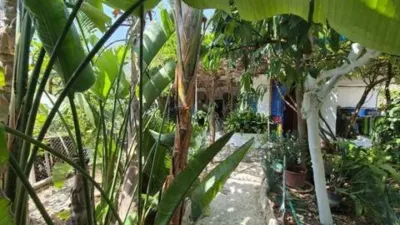 Rustic house in Guaro photo 27