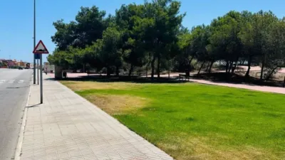 Ground floor property in La Florida-La Chismosa-Los Altos photo 24