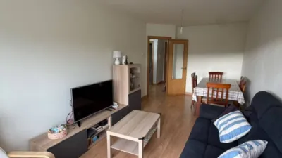 Apartment in San Miguel de Meruelo photo 2