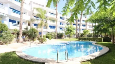 Pis – Orihuela - Vista 3
