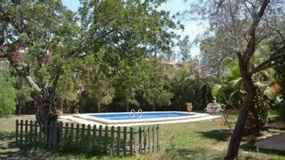 Chalet in Mutxamel photo 9