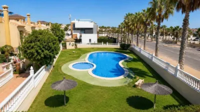 Pis – Orihuela - Vista 2