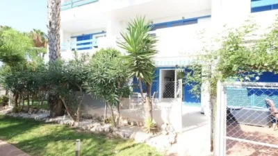 Pis – Orihuela - Vista 2
