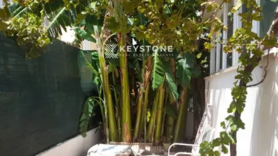 Apartment in Calvià photo 21