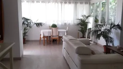 Apartment in Calvià photo 3