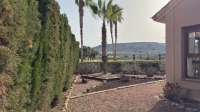House in Algorfa photo 5