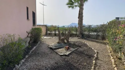 House in Algorfa photo 7