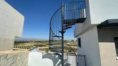Chalet in Algorfa photo 11