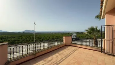 House in Algorfa photo 2