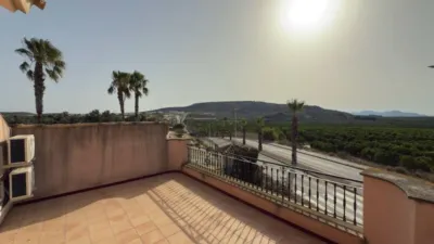 House in Algorfa photo 3