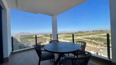 Chalet in Algorfa photo 25