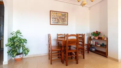 Pis – Pilar de la Horadada, Mil Palmeras, Urbanización Mil Palmeras - Vista 5