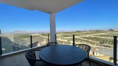 Chalet in Algorfa photo 26