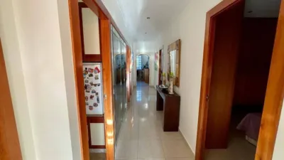 House in Crevillent photo 37