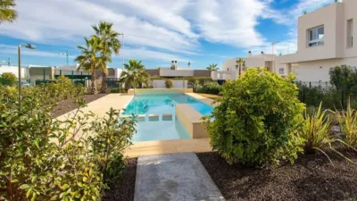 Apartment in Algorfa photo 5